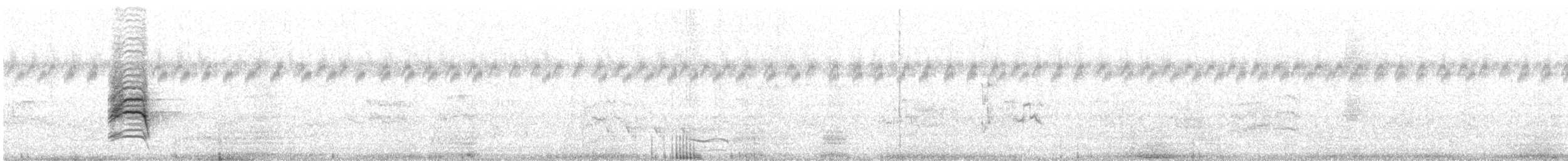 クロオビミツスイ - ML614249250