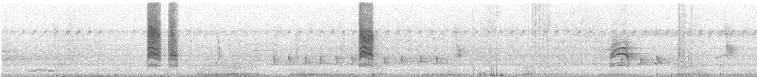 クロオビミツスイ - ML614249257