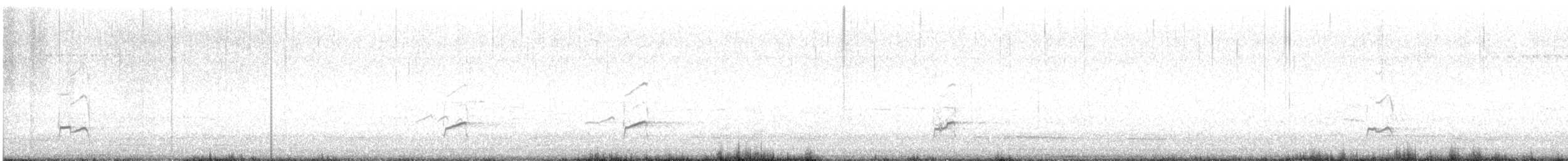 Gray-tailed Tattler - ML614250519