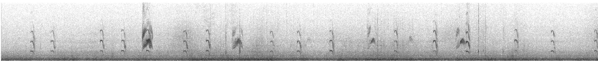 燕鷗(longipennis) - ML614250933