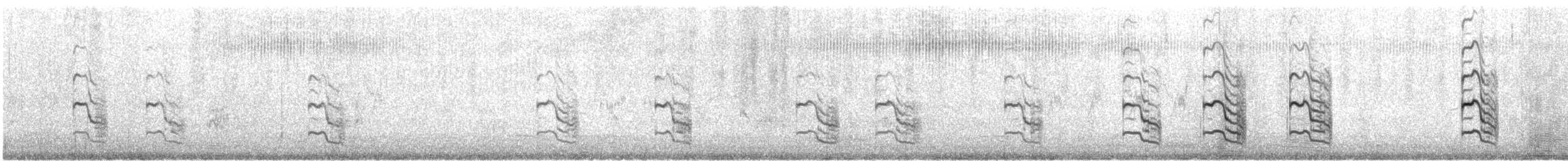 makrellterne (longipennis) - ML614251138