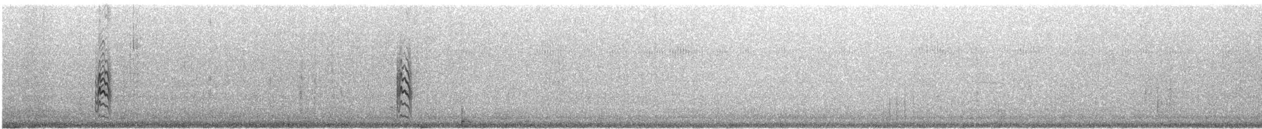 Крячок білокрилий - ML614251205