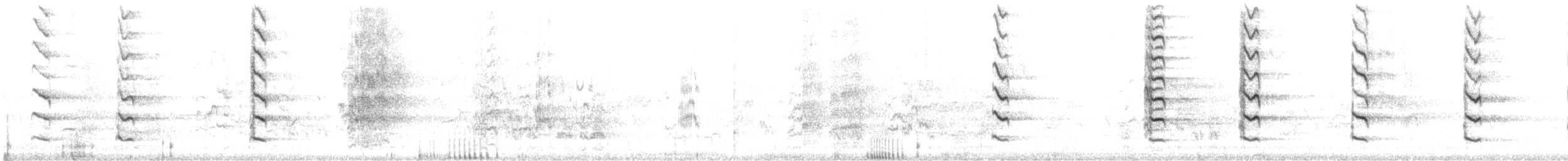 Weißscheitel-Lederkopf - ML614255238