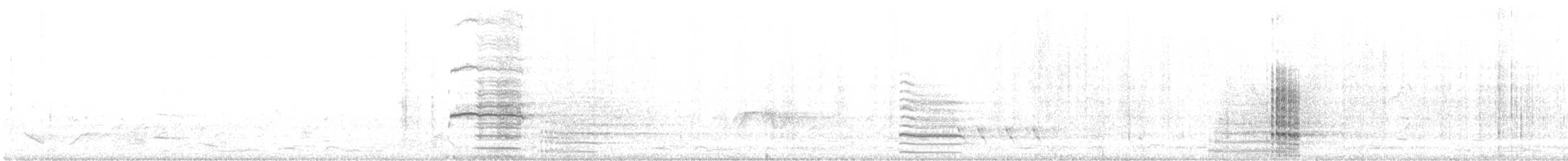 Краснохвостый траурный какаду - ML614255248