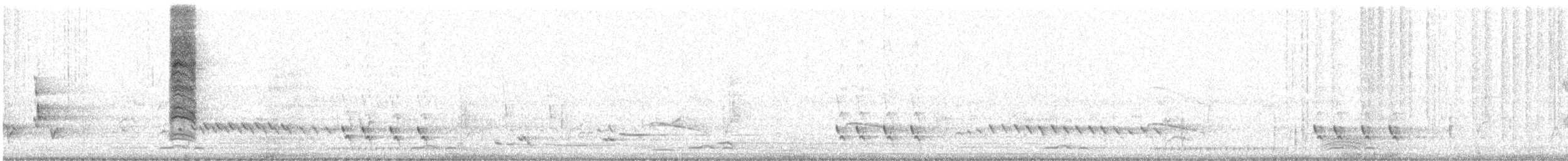 クロオビミツスイ - ML614257836