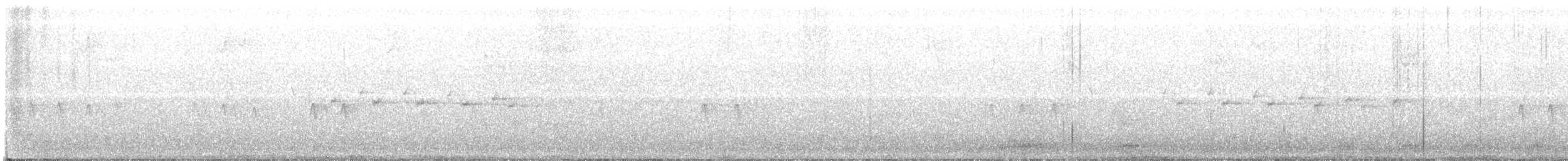 "Шишкар ялиновий (Northeastern, або тип 12)" - ML614262025