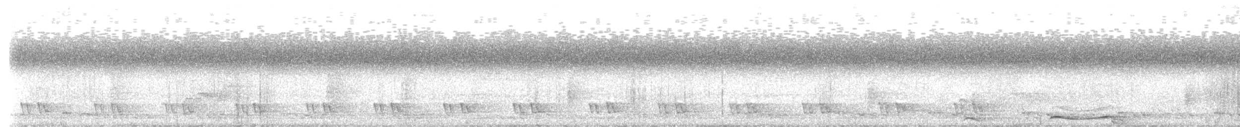 Кораловоклювая воронья кукушка - ML614262145