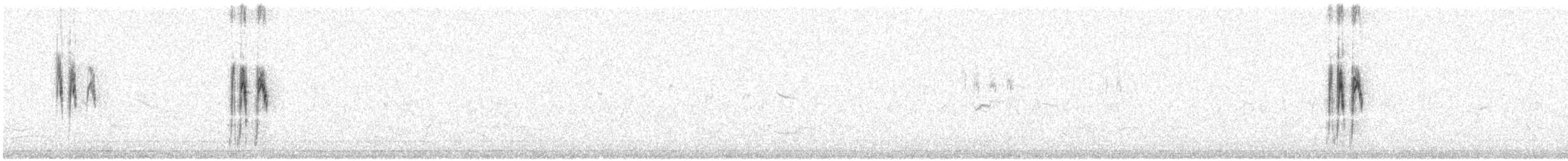 Lavandera Blanca - ML614270056