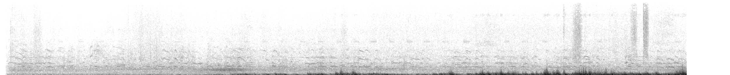 אווז לבן-מצח - ML614270277