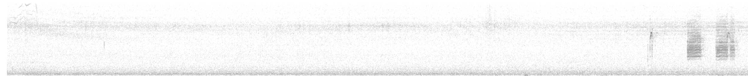 halsbåndfrankolin (henrici gr.) - ML614271305