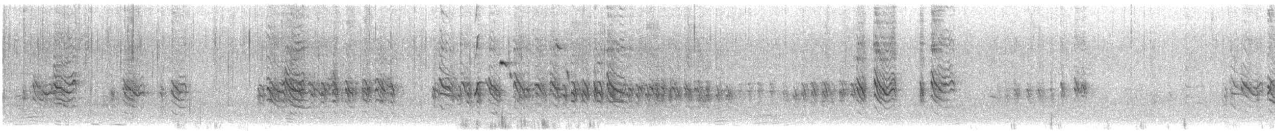 Austral Blackbird - ML614271688