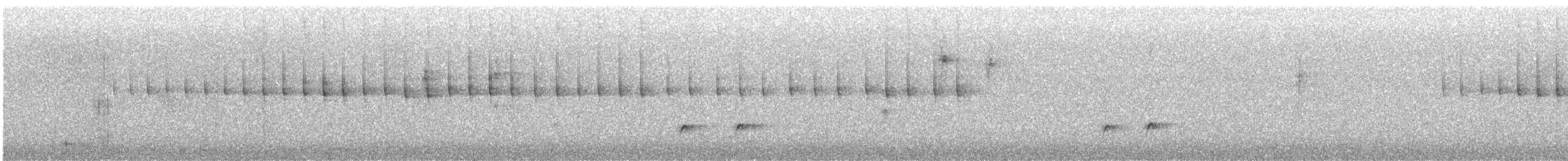Белоухий колибри - ML614273821