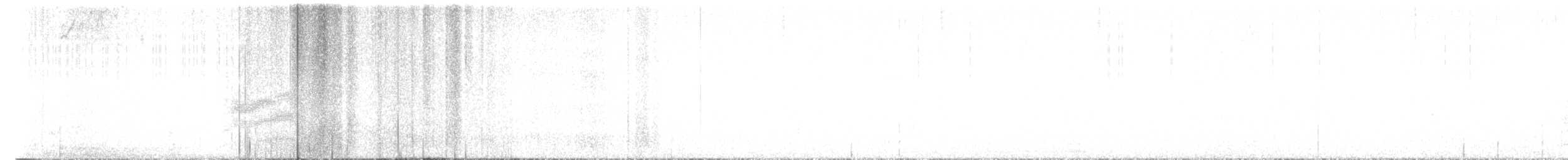 Тауї плямистий - ML614280285