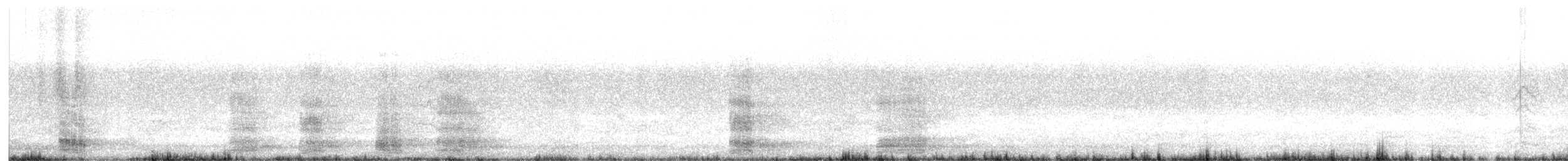 Ibis à cou noir - ML614282256