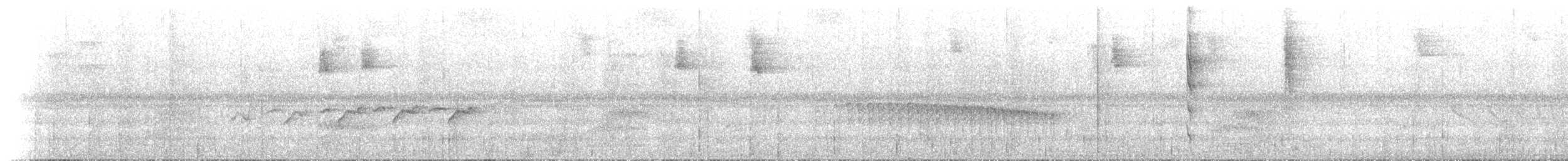 Тиран-інка андійський (підвид superciliaris) - ML614284446