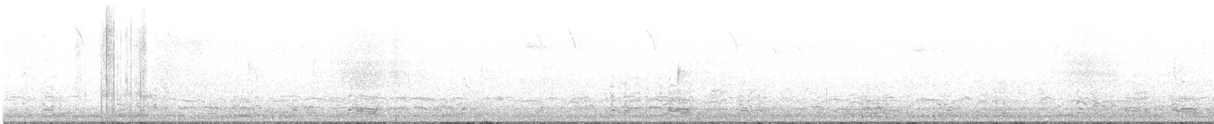 אווז לבן-מצח - ML614285133
