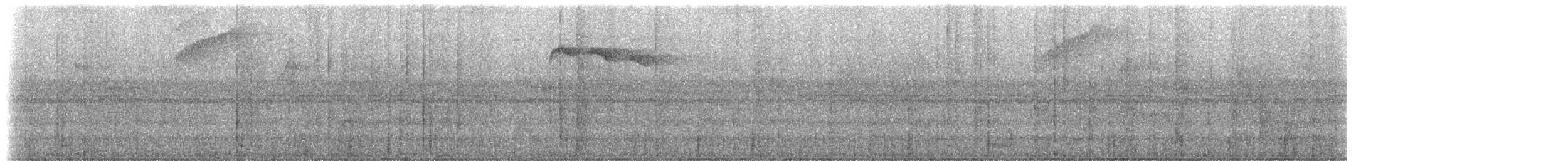 Пестрохвостый колибри - ML614285178