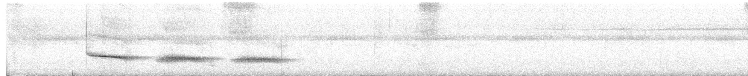 Tropfenmantel-Ameisenvogel - ML614288217