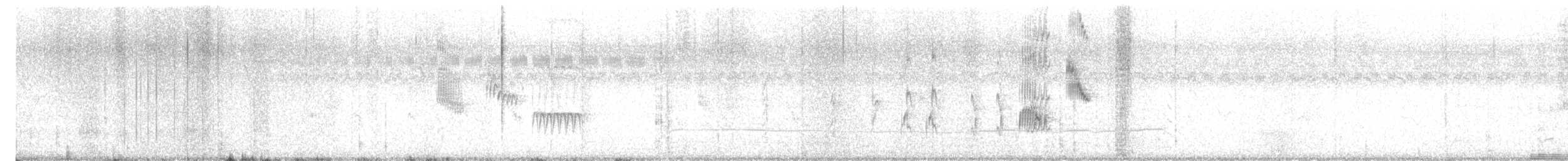 Weißbart-Seeschwalbe - ML614293527