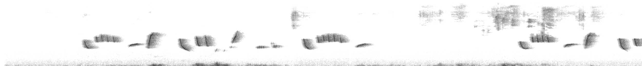 Исчерченный ложнокрапивник - ML614294535