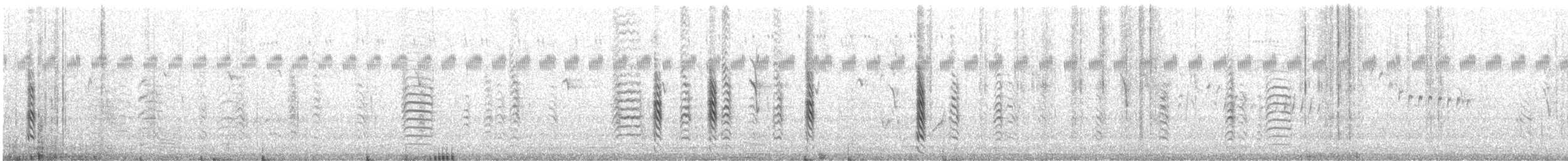 Zebraamadine - ML614295958