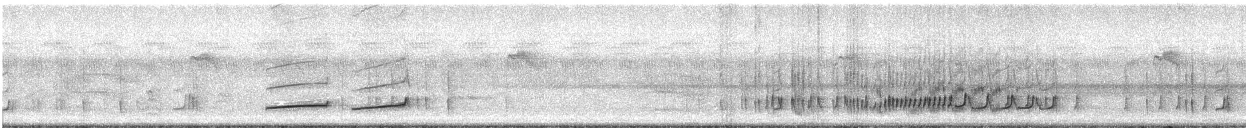 Тиран-крихітка світлогорлий - ML614296331