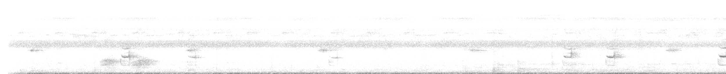 pěnicovec krátkoocasý - ML614301778