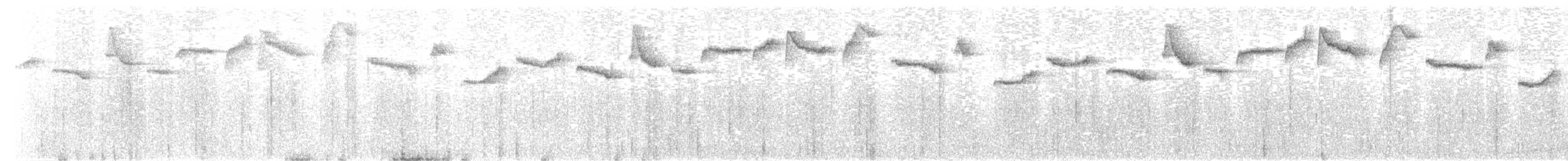 Dickschnabel-Buschammer - ML614301795