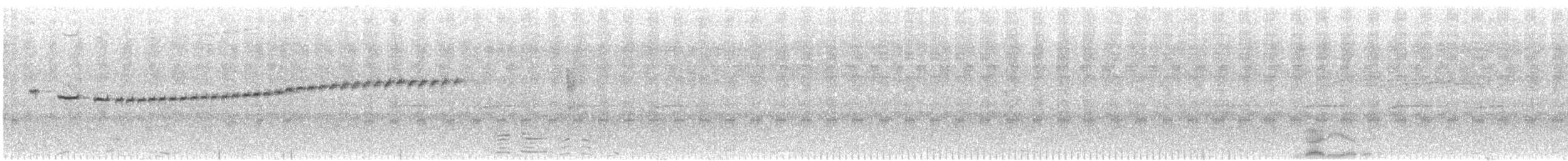 シロボシサザイチメドリ - ML614303392