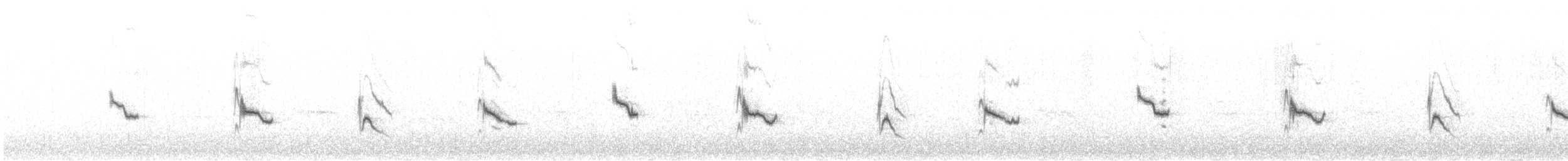 Магеланник жовтовусий (підвид xanthogramma) - ML614305691