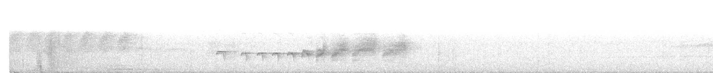 Rostflanken-Ameisenschnäpper - ML614308207