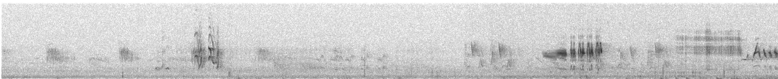 חצוצרן חרמון (מזרח תיכוני) - ML614310097