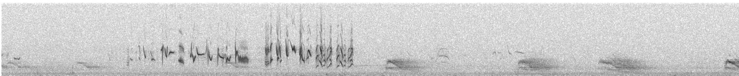 חצוצרן חרמון (מזרח תיכוני) - ML614310111