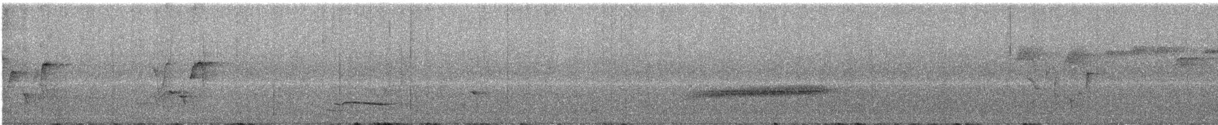 Усатый шипоклюв - ML614311920