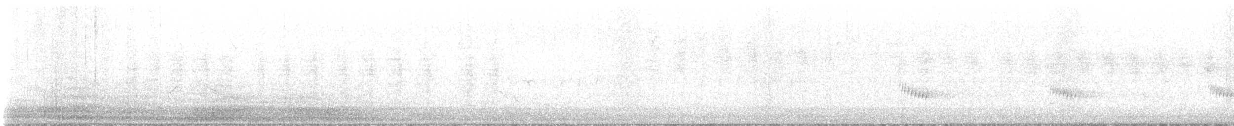 Поплітник каролінський - ML614314069