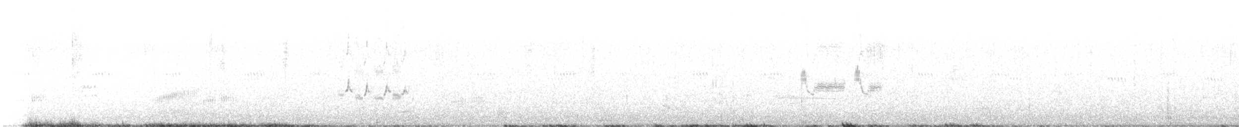Kaya Çıtkuşu - ML614325001