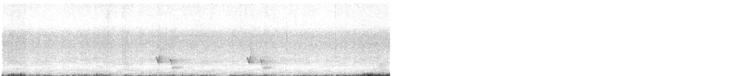 White-eared Honeyeater - ML614326835