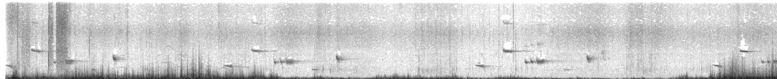 Черногорлая птица-бич (nigrogularis/oberon) - ML614326995