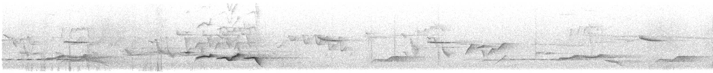 Тимелія-клинодзьоб чорновола - ML614330397