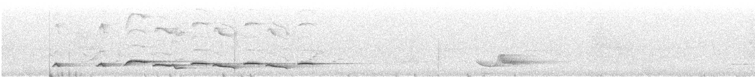 Тимельовець білочеревий - ML614337200