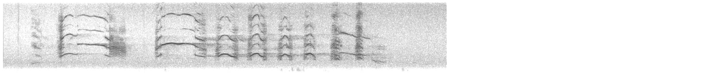 שחף אפרורי - ML614337966