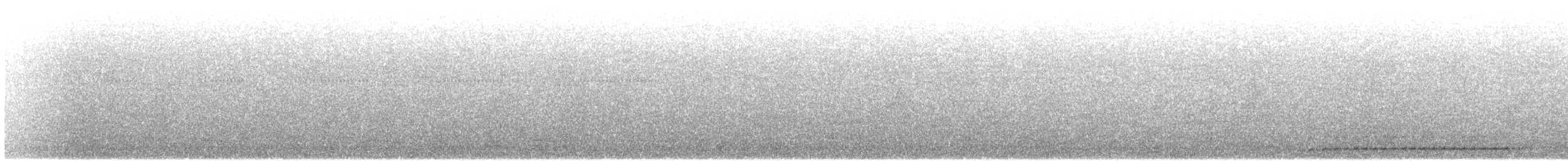 White-browed Scimitar-Babbler - ML614339162