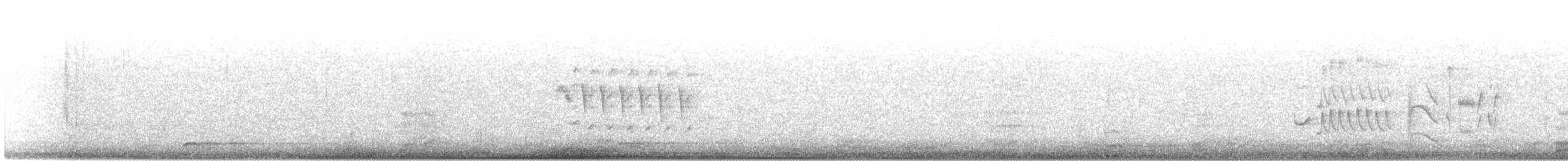 bird sp. - ML614339339