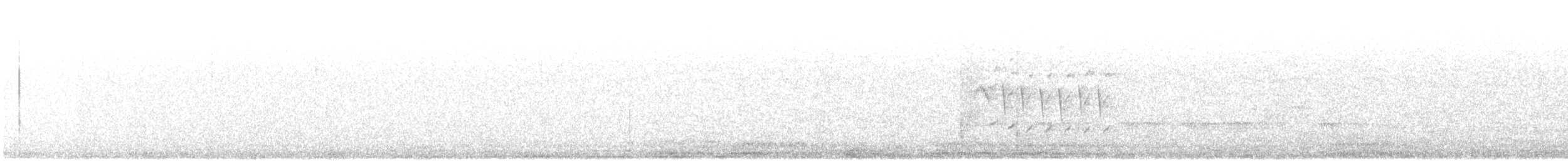 bird sp. - ML614339340