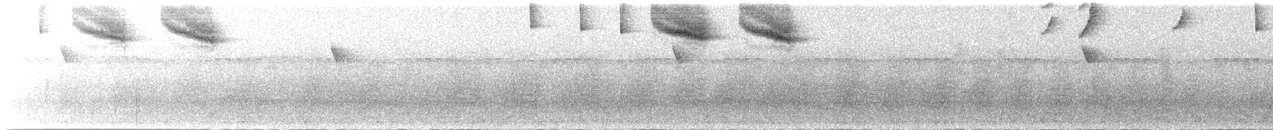 Pectoral Sparrow - ML614340176