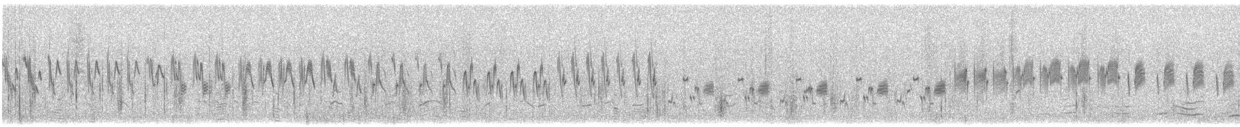 ヒメコウテンシ - ML614342046