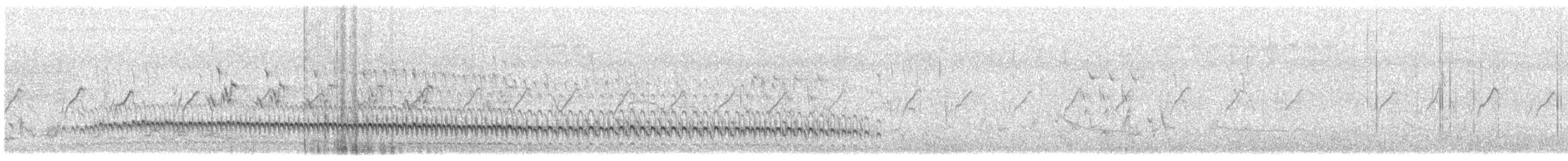 チャバネクイナ - ML614342174