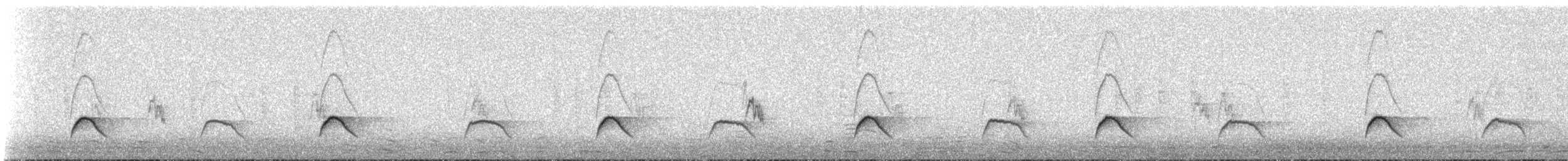 Weißkronen-Olivtyrann (Weißbauch-Olivtyrann) - ML614345419