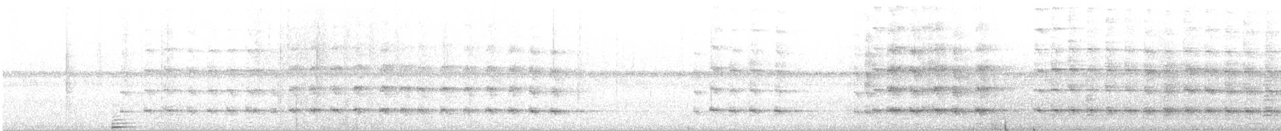 ibis běločelý - ML614351508