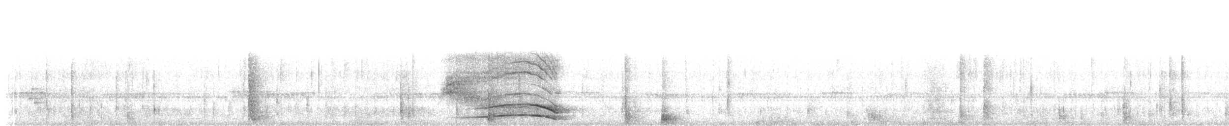 クロオビヒナフクロウ（サンイシドロ） - ML614351996